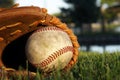 Baseball Glove Laying In Grass Royalty Free Stock Photo