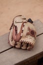 Baseball glove or mitt Royalty Free Stock Photo