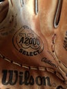 Baseball Glove