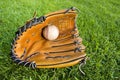 Baseball and glove in Outfield Grass