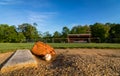 Baseball and glove on pitcher`s mound in early morning Royalty Free Stock Photo