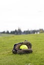 Baseball glove and yellow ball on park grass Royalty Free Stock Photo