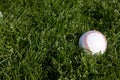 Baseball in grass