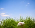 Baseball in grass Royalty Free Stock Photo