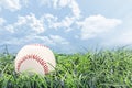 Baseball in Grass Royalty Free Stock Photo