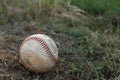 Baseball on the green grass after landing