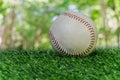 Baseball on the green lawn Royalty Free Stock Photo