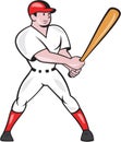 Baseball Hitter Batting Isolated Cartoon Royalty Free Stock Photo