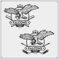Baseball and hockey logos and labels. Sport club emblems with falcon. Print design for t-shirts.