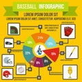 Baseball infographic, flat style