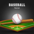 Baseball leather ball and wooden bat on field