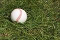 Baseball in long grass