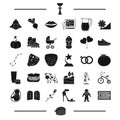 Baseball, mine and other web icon in black style.plants, travel, shoes icons in set collection