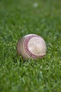 Baseball in Outfield Grass