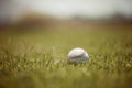 Baseball, pitch and sports ball on grass on an outdoor field for a game, training or practice. Softball, sport and Royalty Free Stock Photo