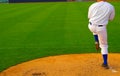 Baseball pitcher Royalty Free Stock Photo
