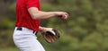 Baseball pitcher ready to pitch in baseball game Royalty Free Stock Photo