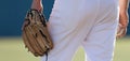 Baseball pitcher ready to pitch in baseball game Royalty Free Stock Photo