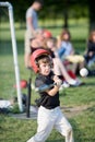 Baseball Player Royalty Free Stock Photo