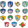 Baseball Player Shield Icon Set Royalty Free Stock Photo