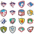Baseball Player Shield Icon Set Royalty Free Stock Photo