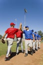 Baseball Players Giving High-Five Royalty Free Stock Photo
