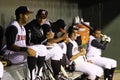 Baseball Players in Team Dugout Royalty Free Stock Photo