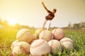 Baseball players to practice pitching outside Royalty Free Stock Photo