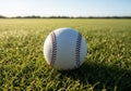 A baseball rests on a lush, Royalty Free Stock Photo