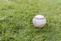 Baseball sat on green grass