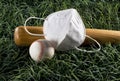 Baseball Season Now. Royalty Free Stock Photo