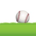 Baseball Sitting on Green Grass Illustration Royalty Free Stock Photo