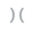 baseball softball ball stitch vector graphic design