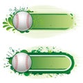 baseball sport