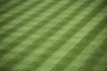 Baseball Stadium Grass