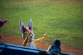 Industriales Baseball Team Cuba Havana Mascots