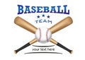 Baseball team logo