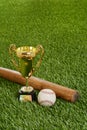 Baseball trophy with bat and hard ball