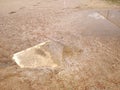 Baseball, Wet Field, Footprints in the Mud Royalty Free Stock Photo