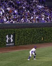 Baseball - Wrigley Field's Historic Ivy Walls Royalty Free Stock Photo