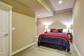 Basement guest bedroom with blue and red bed