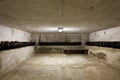 Basement with many wine bottles in old house interior