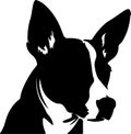 Basenji Black Silhouette Generative Ai