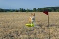 Basenji dog in a field in a muzzle for coursing. Royalty Free Stock Photo