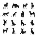 Basenji Dog Silhouettes, Basenji Dog silhouette set Royalty Free Stock Photo