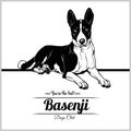 Basenji Dog - vector illustration for t-shirt, logo and template badges