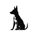 Basenji Icon, Dog Black Silhouette, Puppy Pictogram, Pet Outline, Basenji Symbol