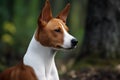 Basenji Kongo Terrier Dog, Red Basenji Portrait, African not Barking Dog, Abstract Generative AI Illustration