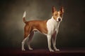 Basenji (Generative AI)