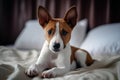 Basenji Puppy In Bed. Generative AI